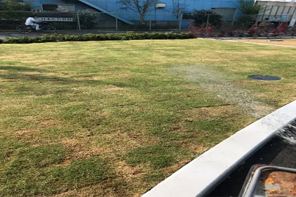 芝管理作業